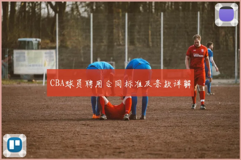CBA球员聘用合同标准及条款详解